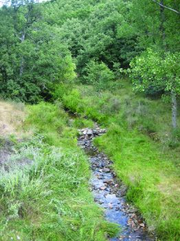 Arroyo del Fontarrón
